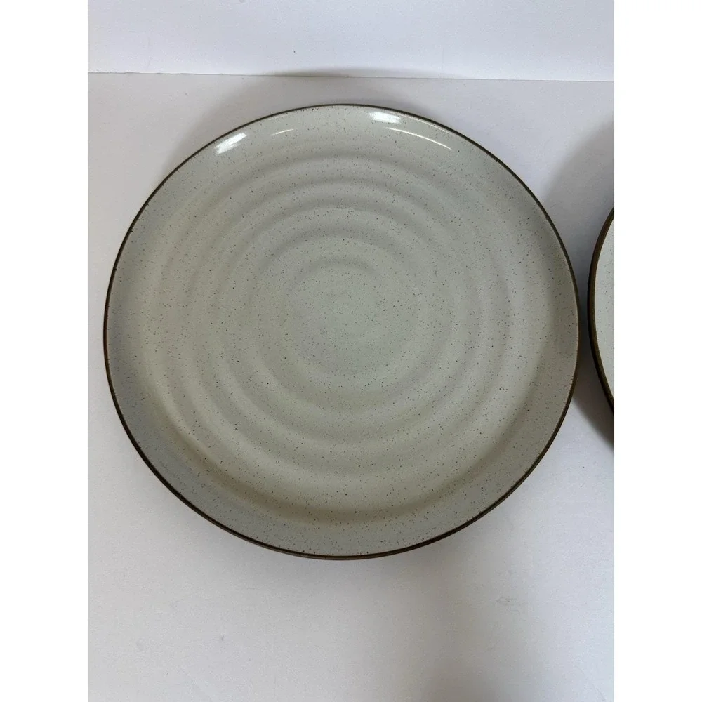 Nantucket By Overandback Stoneware Dinner Plates ~10.5